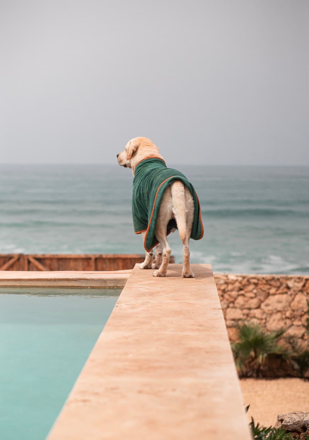 Piscine privée face à la plage